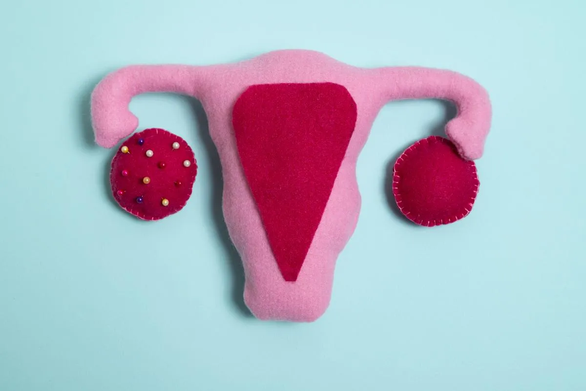 Сравнение нормальной и патологической микрофлоры