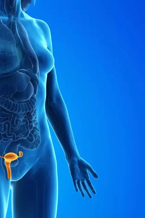 Діагностичне вишкрібання: <br> <span class='text-primary-400 font-bold text-3xl  lg:text-5xl xl:text-6xl'>точна діагностика</span>