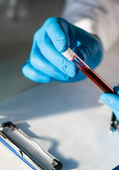 Иммунологические исследования: <br> <span class='text-primary-400 font-bold text-3xl  lg:text-5xl xl:text-6xl'>ключ к пониманию здоровья</span>