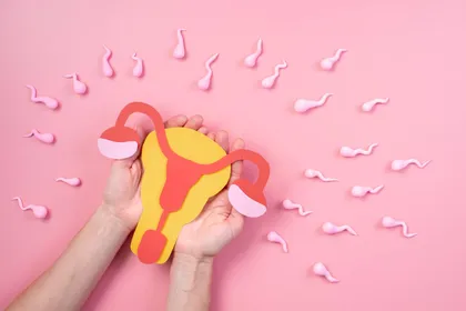 Врач-гинеколог проводит УЗИ органов малого таза пациентке