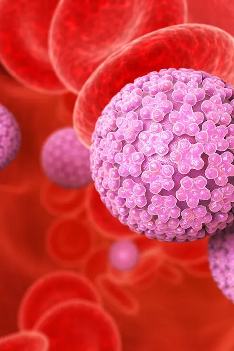 Вирус папилломы человека: <br> <span class='text-primary-400 font-bold text-3xl  lg:text-5xl xl:text-6xl'>защита от серьезных угроз</span>