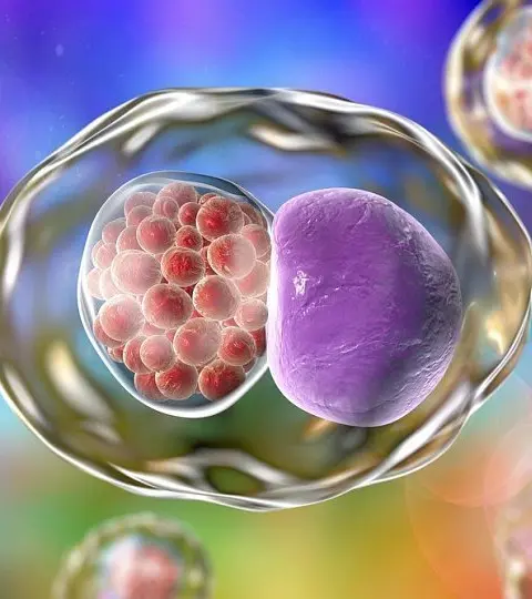 Гепатит C и женское здоровье: <br> <span class='text-primary-400 font-bold text-3xl  lg:text-5xl xl:text-6xl'>современное лечение</span>