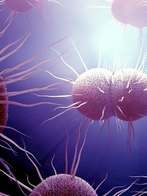 Гонорея у женщин: <br> <span class='text-primary-400 font-bold text-3xl  lg:text-5xl xl:text-6xl'>своевременное лечение</span>