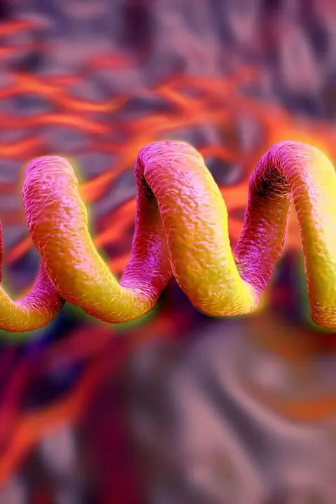 Сифилис у женщин: <br> <span class='text-primary-400 font-bold text-3xl  lg:text-5xl xl:text-6xl'>своевременное лечение спасает жизнь</span>