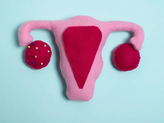 Врач-гинеколог проводит осмотр с использованием оборудования