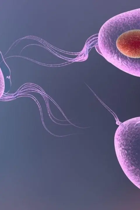 Трихомониаз у женщин: <br> <span class='text-primary-400 font-bold text-3xl  lg:text-5xl xl:text-6xl'>избавьтесь от дискомфорта</span>