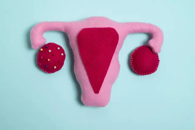 Зуд, жжение и выделения: почему «таблетка от молочницы» не помогает?