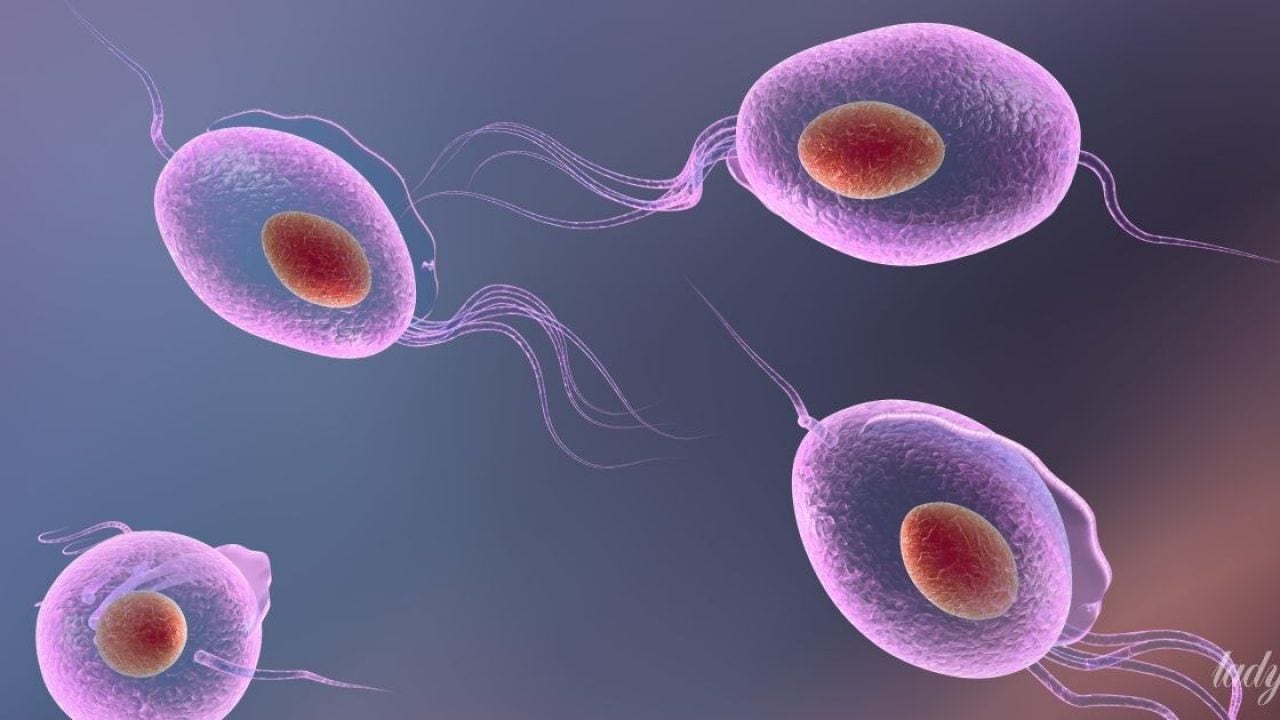 Trihomoniaz-1280x720